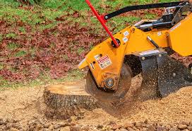Lawn Drainage Solutions in Spearman, TX